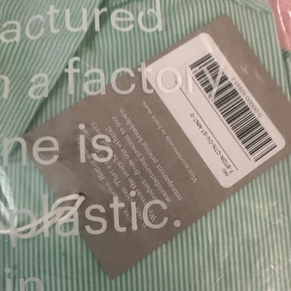 NWT Everlane The Oxford Shirt Mint Kelly Green White Striped Oversized - Sz 0 - Picture 3 of 3